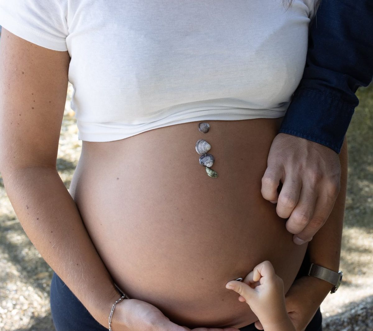 En attendant bébé — ventre et coquillages