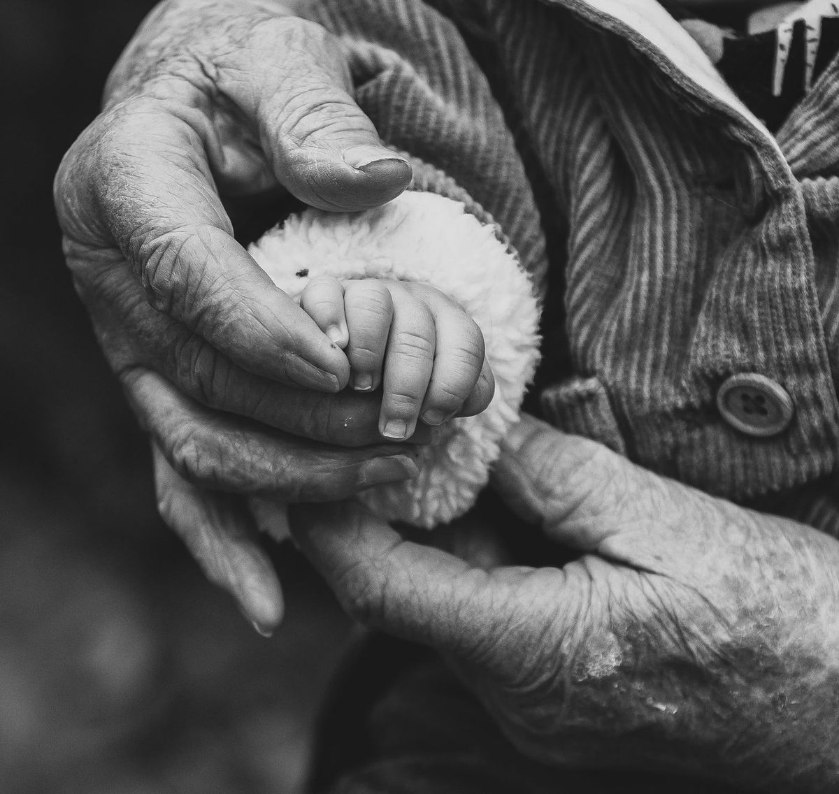 Intergénérationnel — main du bébé dans celle de l'aïeul